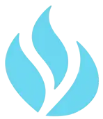 DS HEATING SYSTEMS